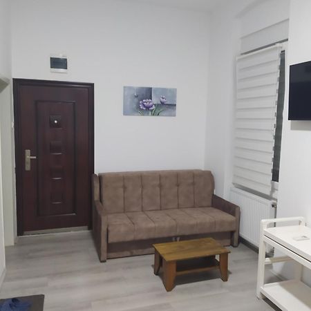 Apartament Lotus House Zrenjanin Zewnętrze zdjęcie