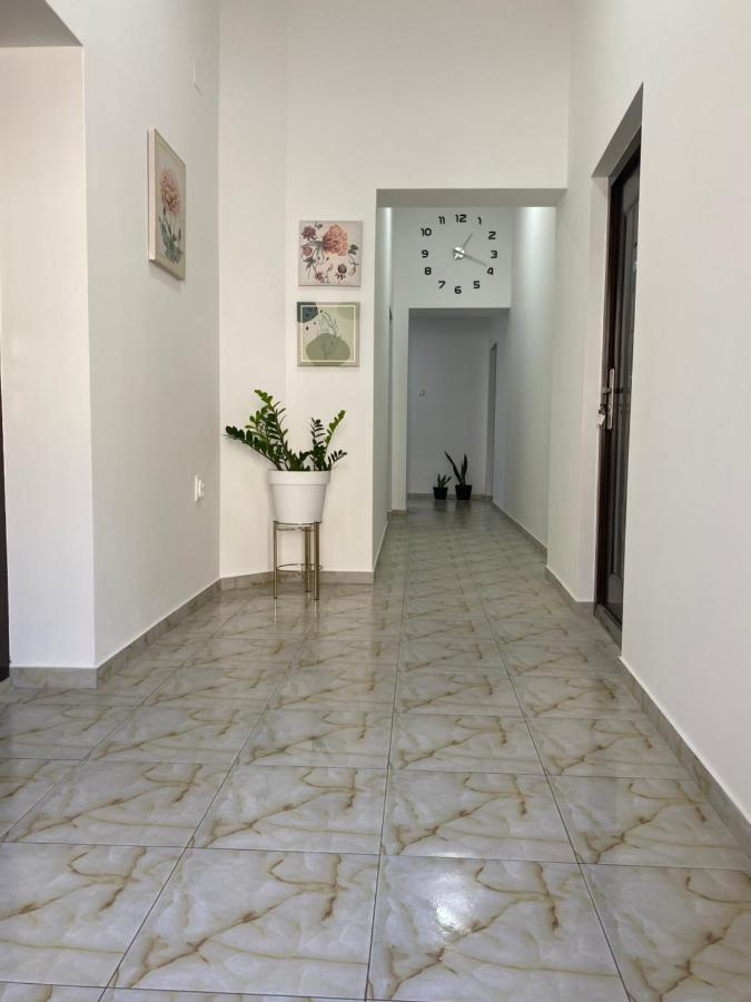 Apartament Lotus House Zrenjanin Zewnętrze zdjęcie