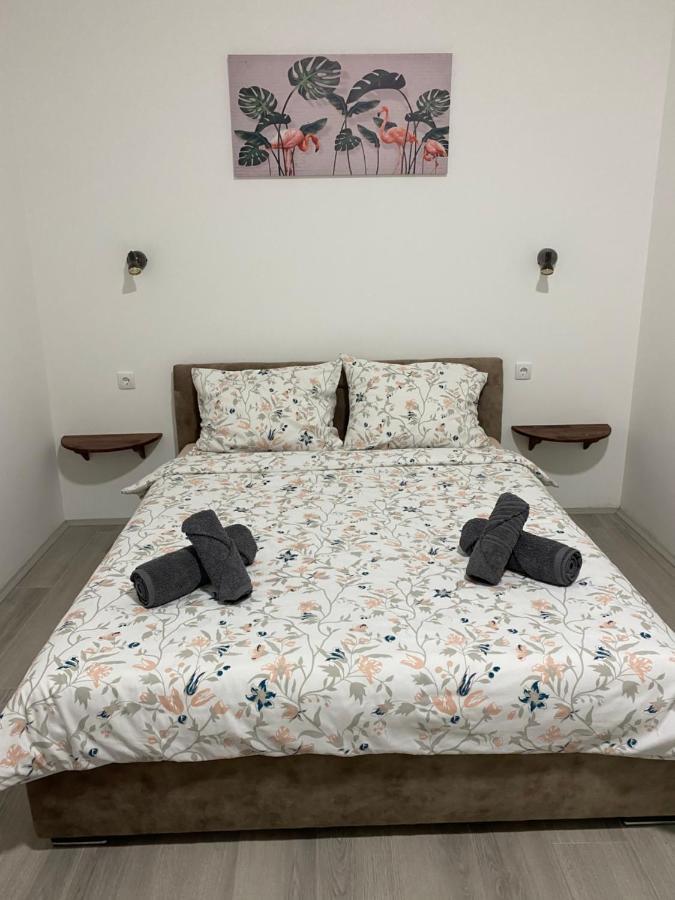 Apartament Lotus House Zrenjanin Zewnętrze zdjęcie