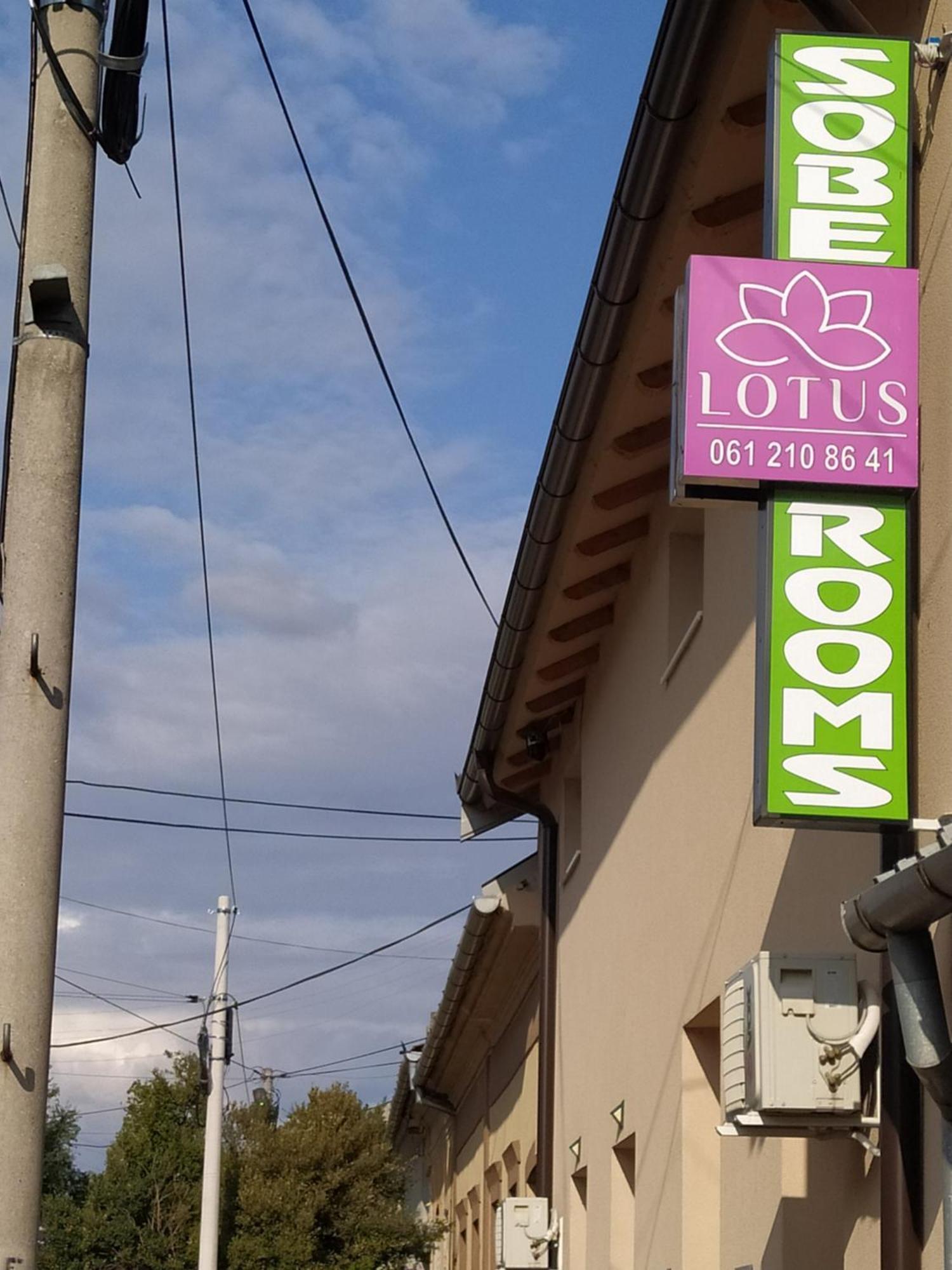 Apartament Lotus House Zrenjanin Zewnętrze zdjęcie