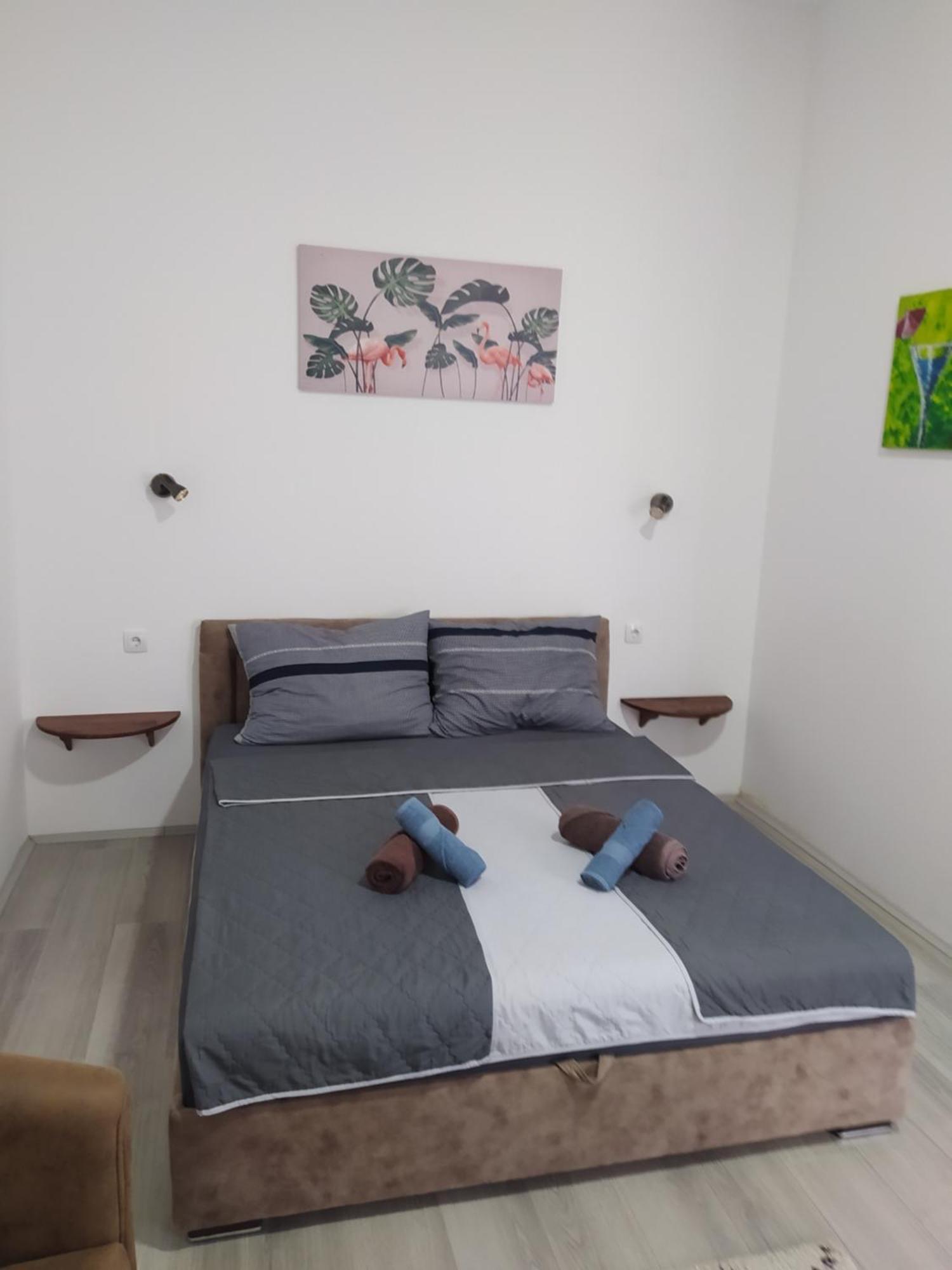Apartament Lotus House Zrenjanin Zewnętrze zdjęcie