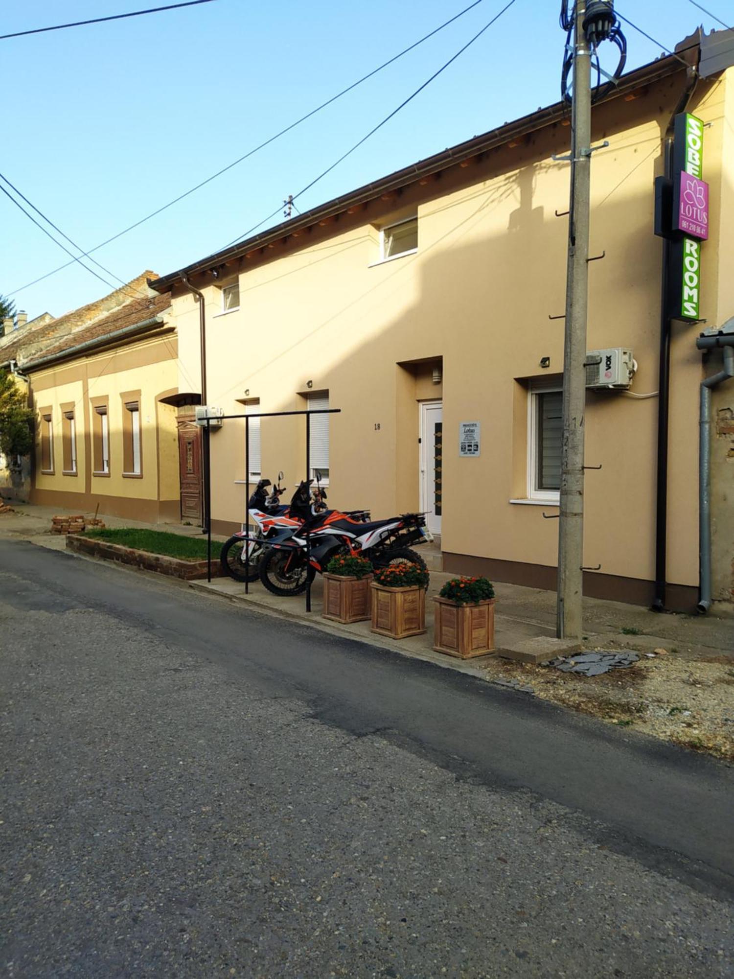 Apartament Lotus House Zrenjanin Zewnętrze zdjęcie