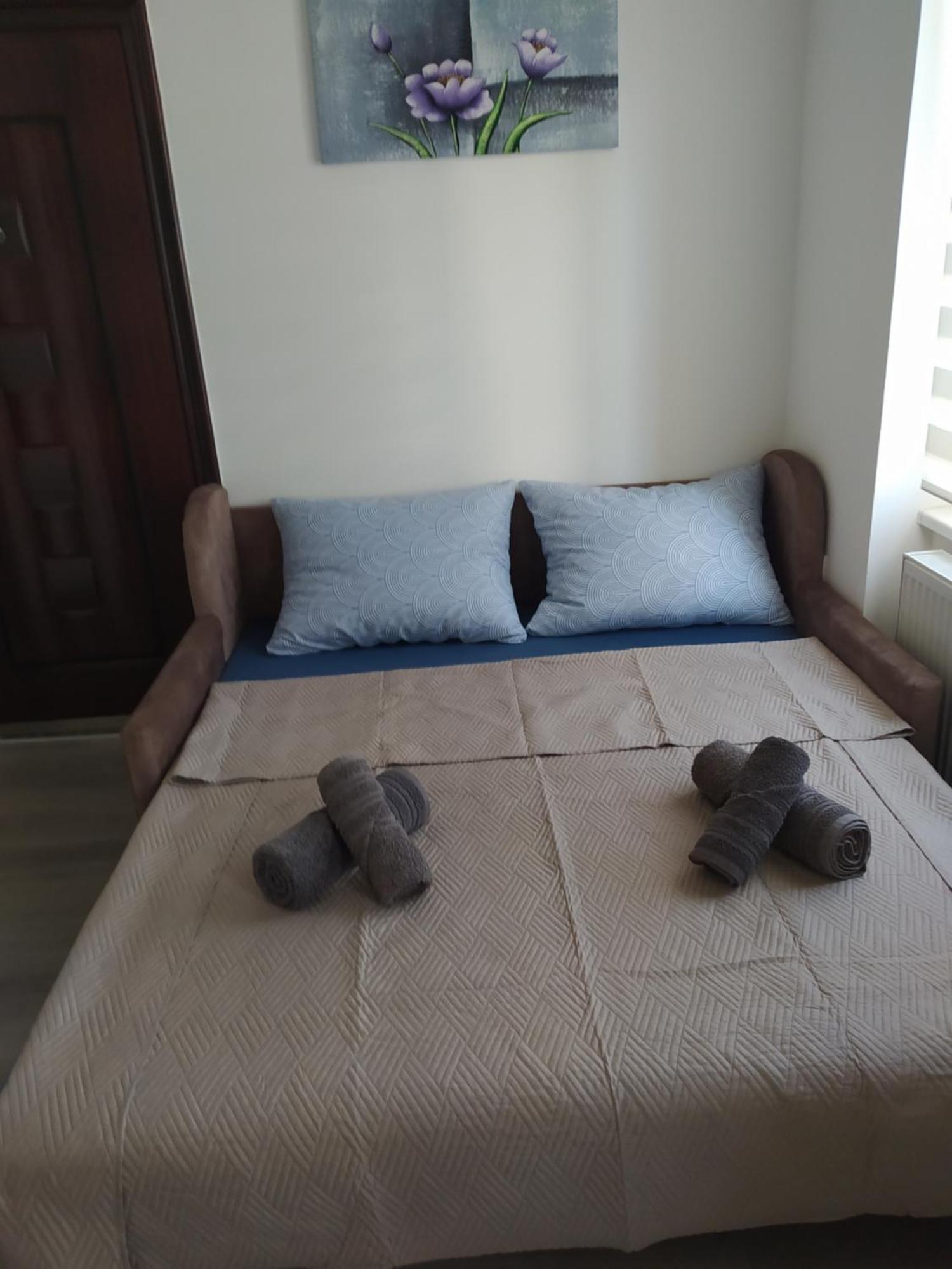 Apartament Lotus House Zrenjanin Zewnętrze zdjęcie